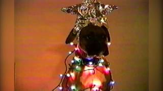 Watch AFV Christmas Decoration Overload Compilation - Holiday Edition! Video