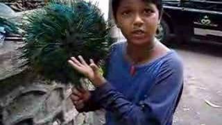 Watch Lingo Kid- Talented Indian Kid speaks many languages Video