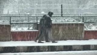 Watch Cold wave in J&K, mercury to further dip in Himachal Video