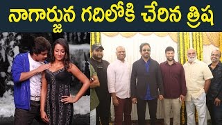 Watch à°¨à°¾à°—à°¾à°°à±à°œà±à°¨ à°—à°¦à°¿à°²à±‹à°•à°¿ à°šà±‡à°°à°¿à°¨ à°¤à±à°°à°¿à°· ..! Trisha Confirmed In The Raju Gari Gadhi - 2 Nagarjuna : Video
