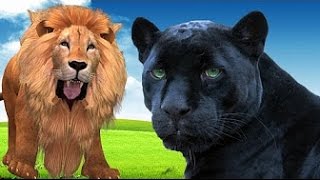 Watch Finger Family Lion Cartoons For Children Nursery Rhymes || And Many More Rhymes Compilation | Rhymes Video