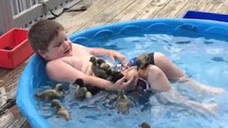 Watch Real King Kong act like Human | Funny Animals - TSP Fun Time || Top 10 Funny Videos || Video
