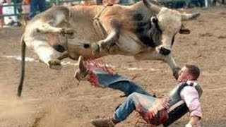 Watch Top 20 Funny bike stunts - Bike racing on streetsIndia - New Funny Comedy Scene Videos Video