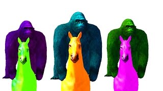 Watch Colour Gorilla and Hourse Kids Rhymes - Gorilla Riding Horse Funny Rhymnes For Kids - TSP Kids Rhymes Video