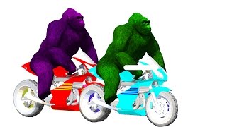 Watch Gorilla Nursery Rhymes - Gorilla Riding Bike Kids Songs| Funny Colourful Rhymes - TSP Kids Rhymes Video