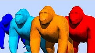 Watch Colour Bear and Gorilla Funny Rhymes For Childrens - 3D Animated Colourful Songs - TSP Kids Rhymes Video
