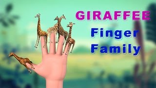 Watch Giraffee Finger Family Songs - Children Nursery Rhymes - Animal Kids Songs |  TSP Kids Rhymes Video