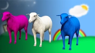 Watch Baa Baa Black Sheep and Many More Kids Rhymes - Popular Nursery Rhymes Collection by TSP Kids Rhymes Video