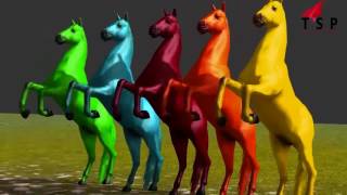 Watch Latest Popular Rhymes Compilation - Gorilla Vs Tiger Rhymes - Animal Fights - TSP Kids Rhymes Video