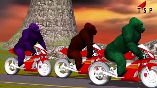 Watch Animals Fights Animation Compilation For Kids - More Popular Kids Songs Compilation - TSP Rhymes Video
