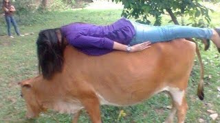 Watch Funny Videos 2016 - Best Funny Jokes 2016 Best Jokes Ever Video