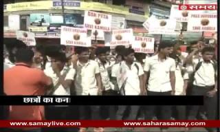 Watch Now protests of demanding removal of ban on Buffalo Fight 'Kambala' Video