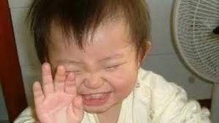 Watch Funny Videos - intelligent elephant - Latest top ten funny Videos Video