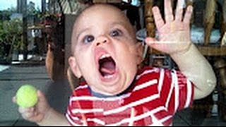 Watch 2016 New Latest Whatsapp Funny Videos - Best Indian Funny viral - Funny Videos Video