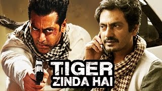 Watch Nawazuddin Siddiqui REJECTS Salman's Tiger Zinda Hai - Reason Revealed Video