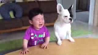Watch Childrens New Funny Videos - 2016 Kids and dogs funny videos - Latest Funny Videos Video