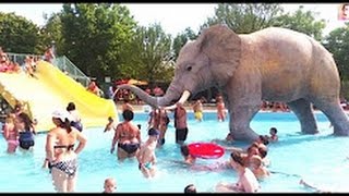 Watch Top 10 New Funny videos 2016 - 2017 - Funny clips in the World 2016 - Best Comedy Scenes Video