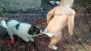 Watch New Funny Whatsapp Videos - BEST Funny Videos 2017 - Latest Comedy Funny Videos Video
