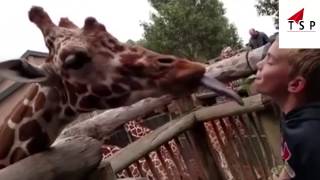 Watch Best whatsapp funny videos - whats up most viral video of 2017 - The most funny video Video