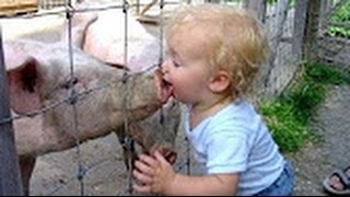 Watch Top  Most Watched Best Funny Scary Pranks - 2016 Top Funny Videos - Latest Funny Videos Video
