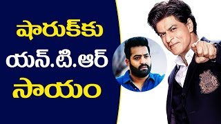 Watch Jr NTR Help to Badshah à°·à°¾à°°à±à°–à± à°•à± à°Žà°¨à±à°Ÿà±€à°†à°°à± à°¸à°¾à°¯à°‚ King Khan To Remake Jr NTR Blockbuster Movie Video