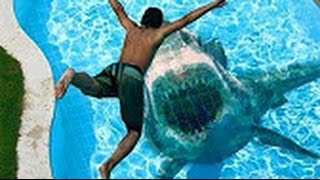 Watch Funny Video Fail Compilation 2017 - Latest Top 10 Funny Videos - FUNNY BABIES Comedy Videos Video