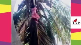 Watch Try Not To Laugh Challenge 2017 - Top Most Funny Videos - New Whatsapp Funny Best  Videos Video