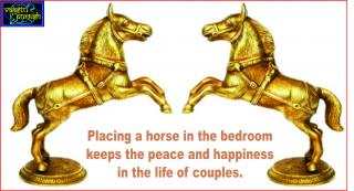 Watch Get ready for success by a picture of the horse. #Acharya Anuj Jain Video