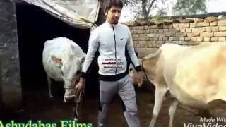 Watch Never lie to Your Kamine friends? Video