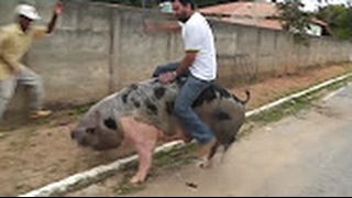 Watch Top Funny Prank Videos - Top Best Prank Funny Videos - Funny videos 2017 - Funny Fails Video