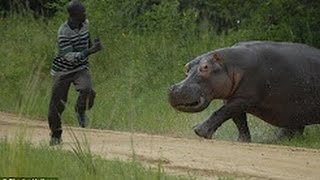 Watch Funny Viral Video Part 3 - Ultimate funny videos 2017 - World most Funny Videos Video