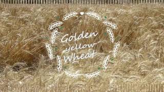 Watch Happy Baisakhi 2017 | Vaisakhi Special video Must Watch Rang Kankan Da Hre To Sunehri Ho Gya Video