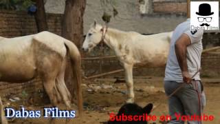 Watch jugadi boys Video
