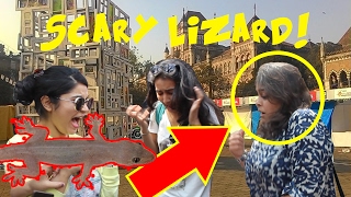 Watch Scaring cute girls with Fake Lizard! | Kala Ghoda 2k17- Virar2Churchgate Video