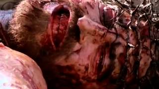 Watch Jesus story specially 4r "GOOD FRIDAY" Video