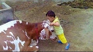 Watch Whatsapp Funny Videos Most Viral Part 11 | New Whatsapp Most Funny Videos | New Prank Videos Video