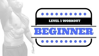 Watch LEVEL 1 BEGINNER GYM WORKOUT Video