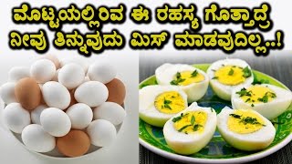 Watch Shocking news about Egg | Must Watch Video | Top Kannada Health Tips | Video