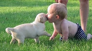 Watch Whatsapp Funny Videos Most Viral Part 22 | Best Vines Compilation | Funny Childrens | Funny Vines | Video