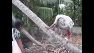Watch malayalam funny videos must watch Video