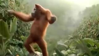 Watch gan bai mogra funny marathi video Video