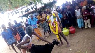 Watch à®•à®¿à®Ÿà®¾à®µà¯†à®Ÿà¯à®Ÿà¯,  à®•à¯‹à®¯à®¿à®²à¯ à®¤à®¿à®°à¯à®µà®¿à®´à®¾ -  Kidavedu, Temple Festival Video