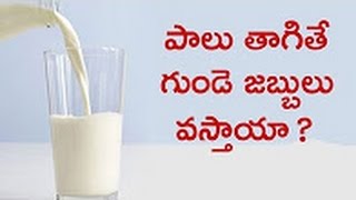 Watch à°ªà°¾à°²à± à°¤à°¾à°—à°¿à°¤à±‡ à°—à±à°‚à°¡à±† à°œà°¬à±à°¬à±à°²à± à°µà°¸à±à°¤à°¾à°¯à°¾ ? | Can milk Cause heart disease | Natural Health & Cure Video