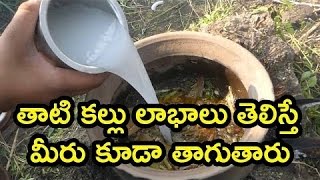 Watch à°¤à°¾à°Ÿà°¿ à°•à°²à±à°²à± à°²à°¾à°­à°¾à°²à± à°¤à±†à°²à°¿à°¸à±à°¤à±‡ à°®à±€à°°à± à°•à±‚à°¡à°¾ à°¤à°¾à°—à±à°¤à°¾à°°à± Uses of Palm Wine Natural Health & Cure Video
