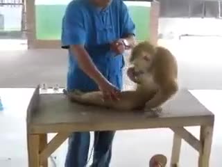 Watch Good morning all ,,,, watch it) Video