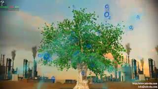 Watch World Environment Day -  5 June Video