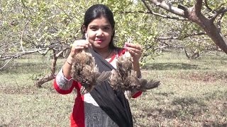 Watch Village Style Kouju Pitta (Angry Bird) Fry | cooked by Priyanka | Village Food Recipes | TSP Food Video