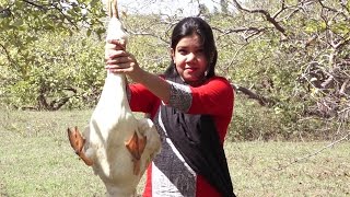 Watch A Girl Cooked Village type Duck Masala Curry | Village Food | TSP Tasty Food Recipes Video