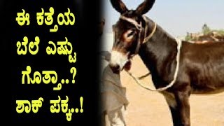Watch You never expect this donkey price shocking | Viral Videos | Must Watch Video | Top Kannada TV Video