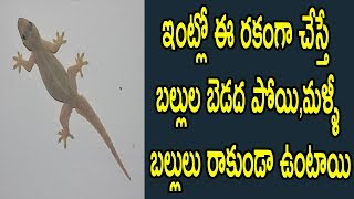 Watch à°‡à°‚à°Ÿà±à°²à±‹ à°ˆ à°°à°•à°‚à°—à°¾ à°šà±‡à°¸à±à°¤à±‡ à°¬à°²à±à°²à±à°² à°¬à±†à°¡à°¦ à°ªà±‹à°¯à°¿,à°®à°³à±à°³à°¿ à°¬à°²à±à°²à±à°²à± à°°à°¾à°•à±à°‚à°¡à°¾ à°‰à°‚à°Ÿà°¾à°¯à°¿|Natural Health & Cure Video